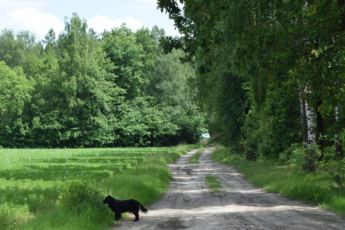 Pogoda na piatek. Sprawdź, jaka będzie jutro aura