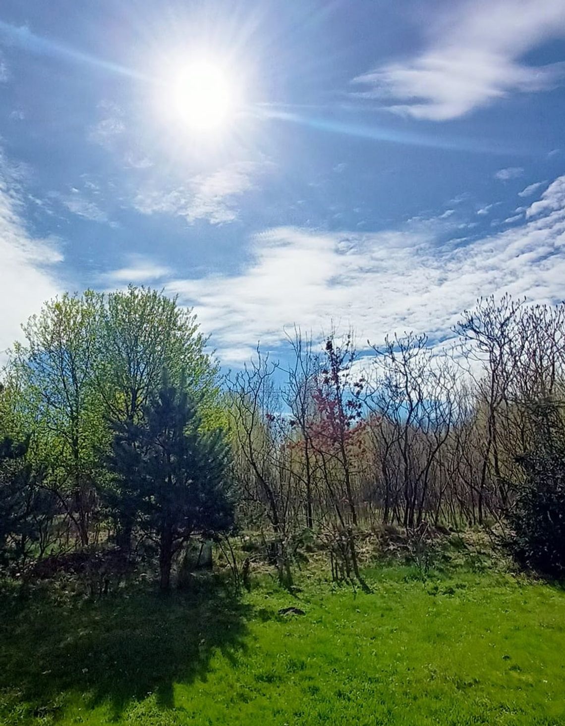 Pogoda na piątek. Sprawdź, jaka będzie aura