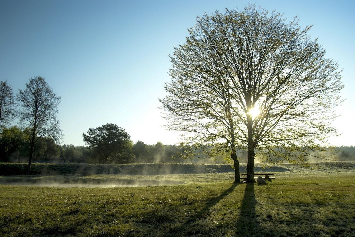 Pogoda na piątek. Sprawdź, jaka będzie jutro aura