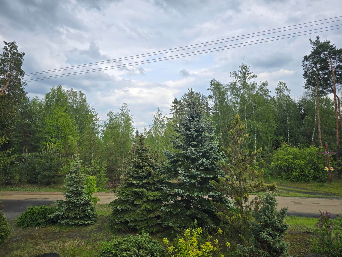 Pogoda na piątek. Sprawdź, jaka będzie jutro aura