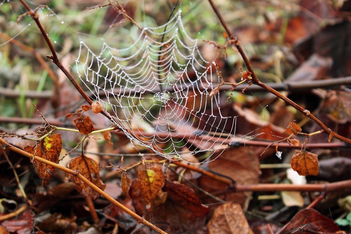 Pogoda na piątek. Sprawdź jakie są prognozy