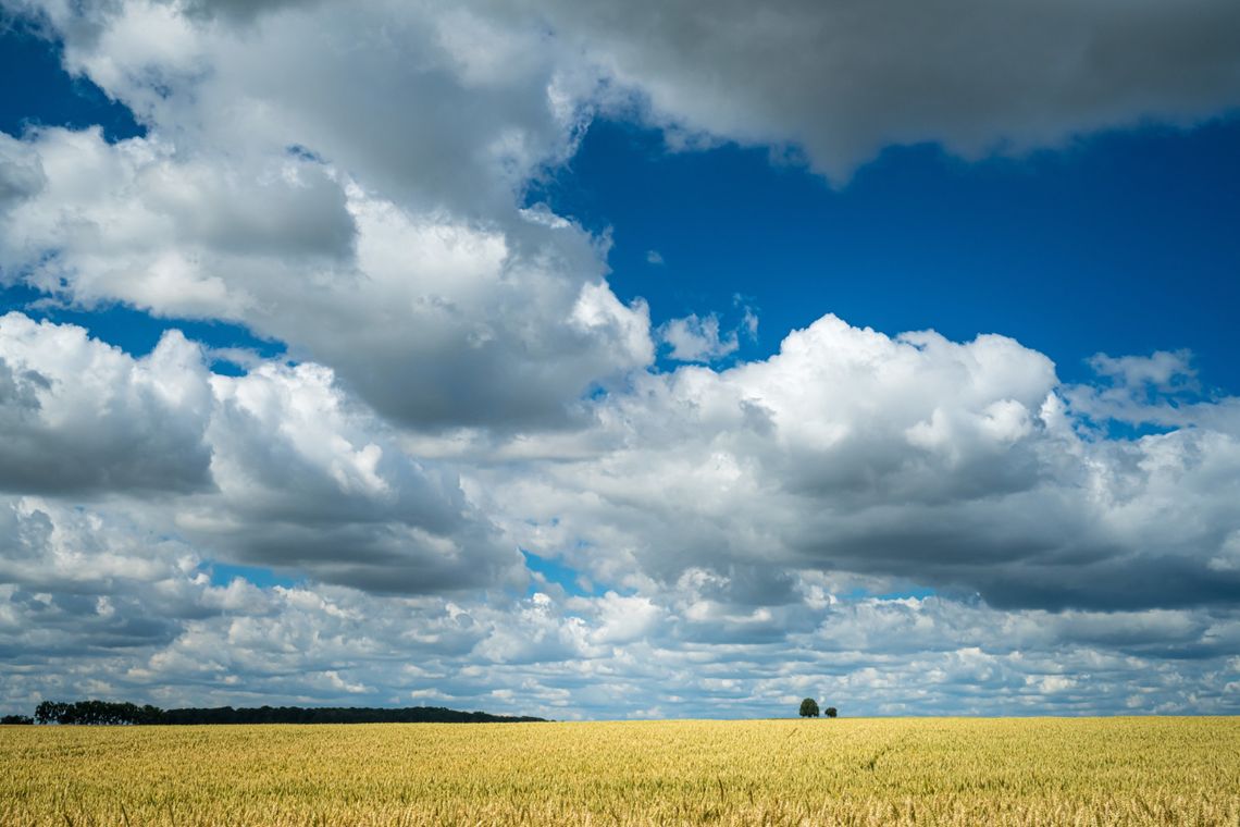 Pogoda na poniedziałek. Sprawdź, jaka czeka nas aura