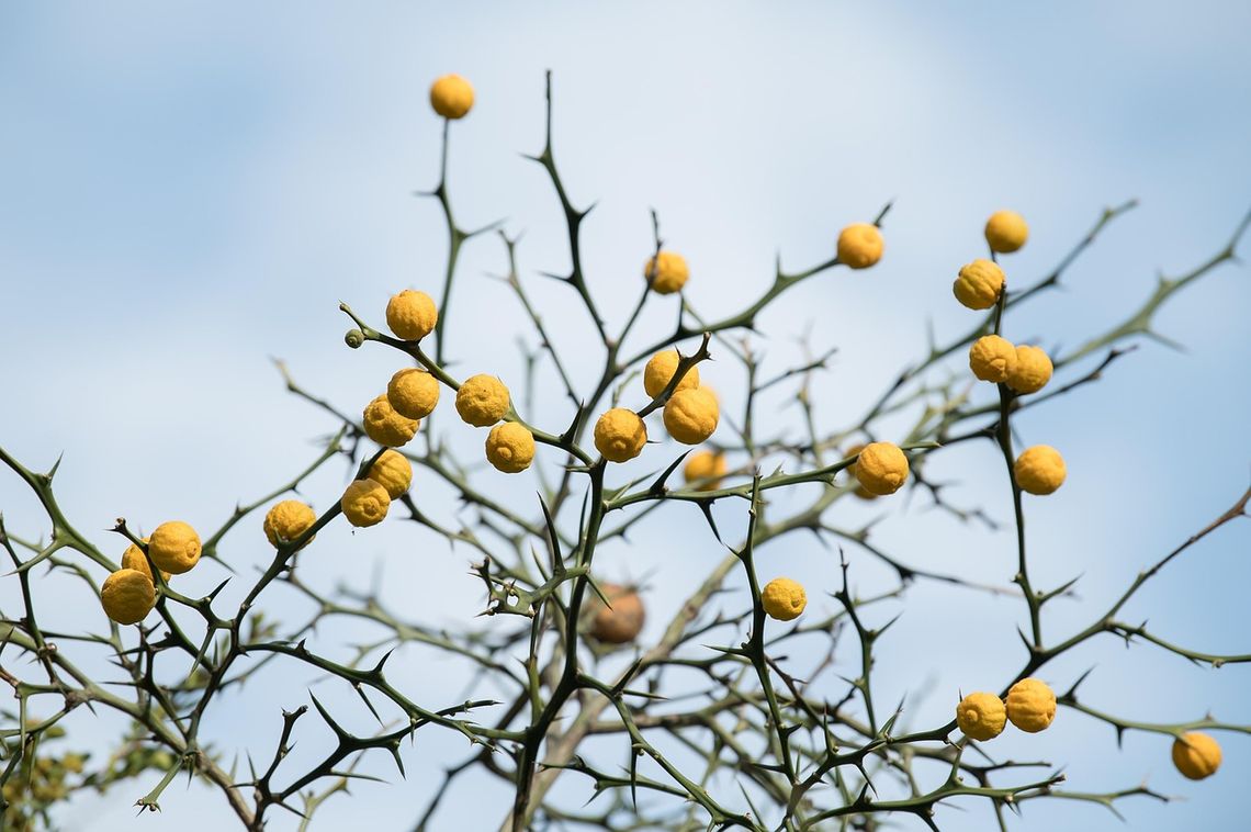 Pogoda na poniedziałek. Sprawdź, jaka będzie aura Pogoda na poniedziałek. Sprawdź, jaka będzie aura
