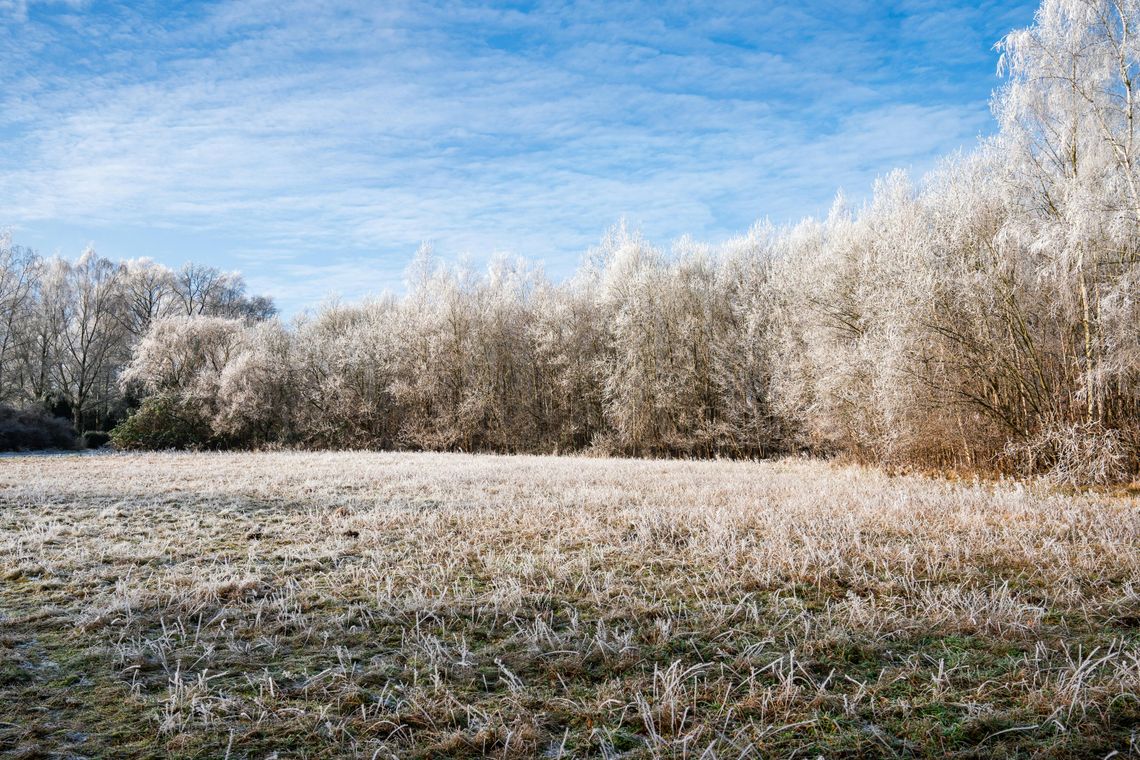 Pogoda na poniedziałek. Sprawdź, jaka będzie aura Pogoda na poniedziałek. Sprawdź, jaka będzie aura