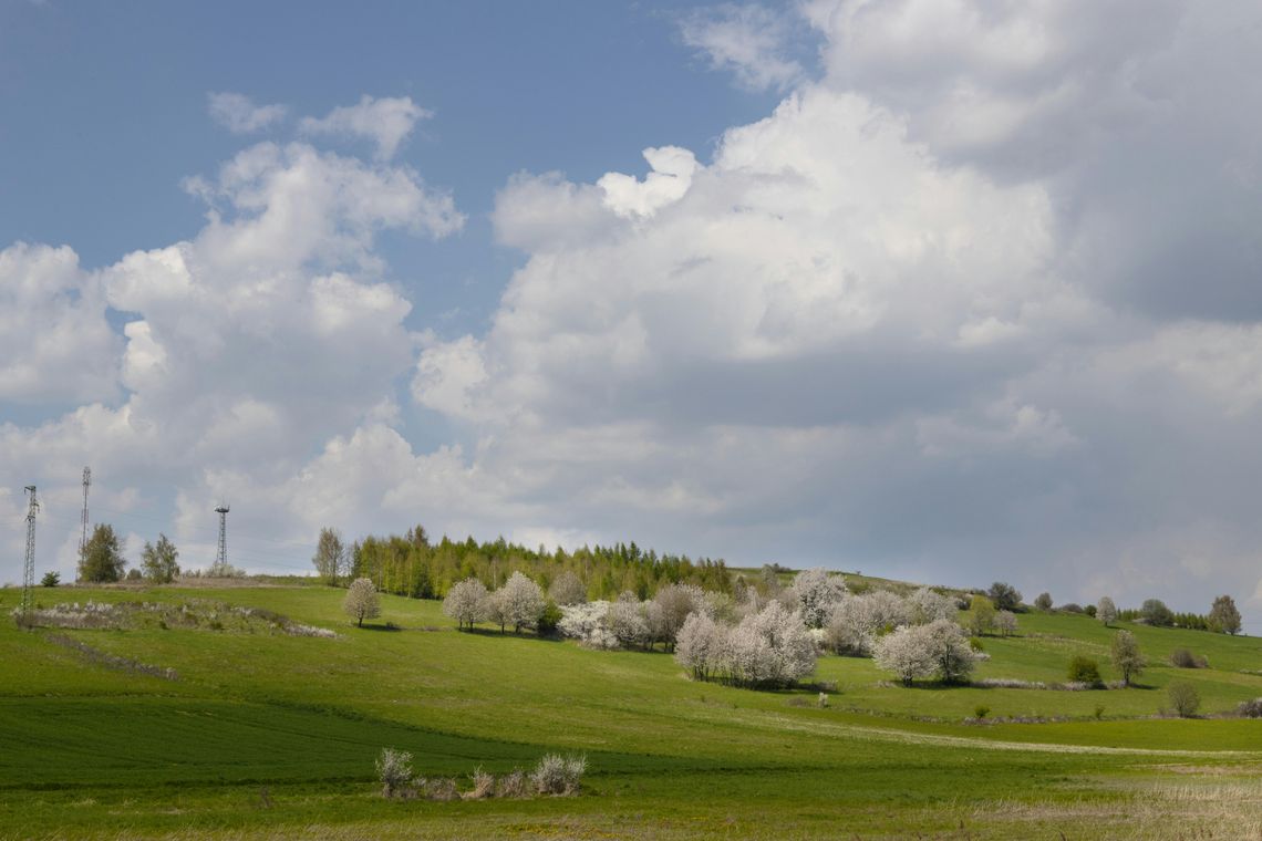Pogoda na poniedziałek. Sprawdź, jaka będzie aura