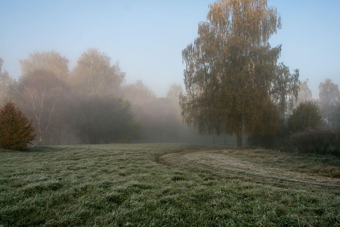 Pogoda na poniedziałek. Sprawdź, jaka będzie aura Pogoda na poniedziałek. Sprawdź, jaka będzie aura