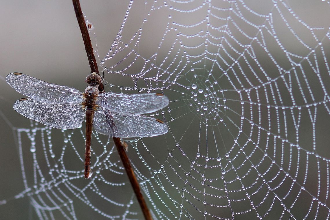 Pogoda na poniedziałek. Sprawdź, jaka będzie jutro aura