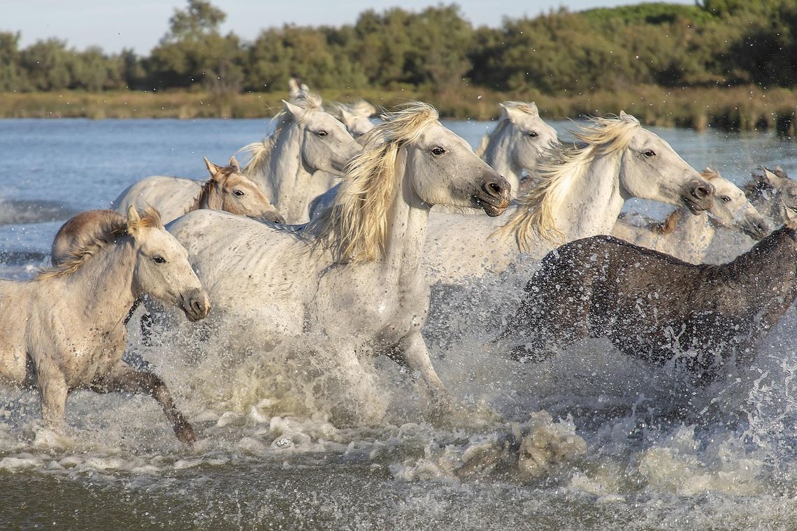 Pogoda na poniedziałek. Sprawdź, jaka będzie jutro aura