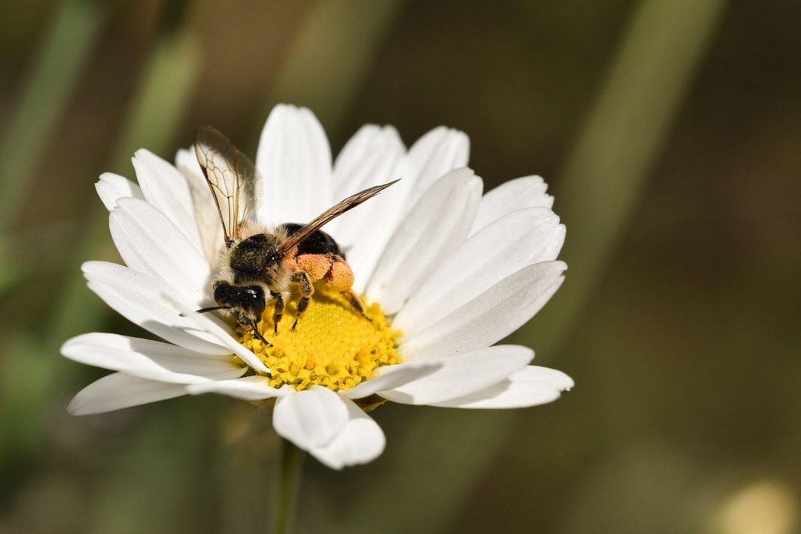 Pogoda na poniedziałek. Sprawdź, jaka będzie jutro aura