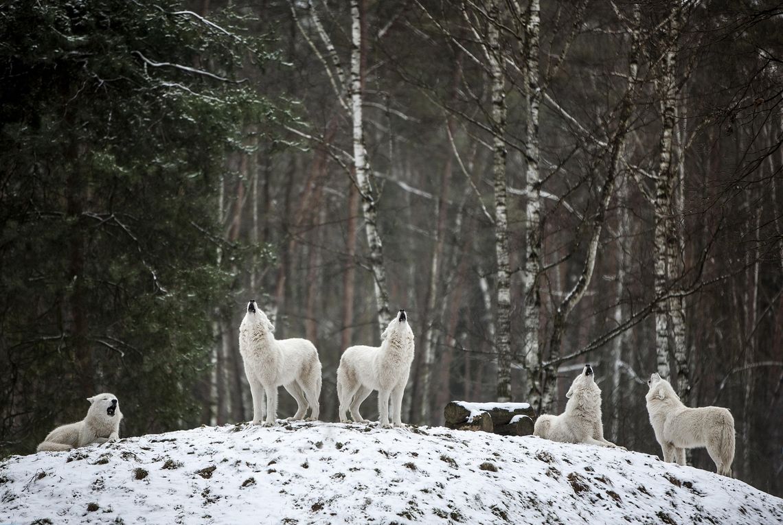 Pogoda na poniedziałek. Sprawdź, jaki będzie początek tygodnia
