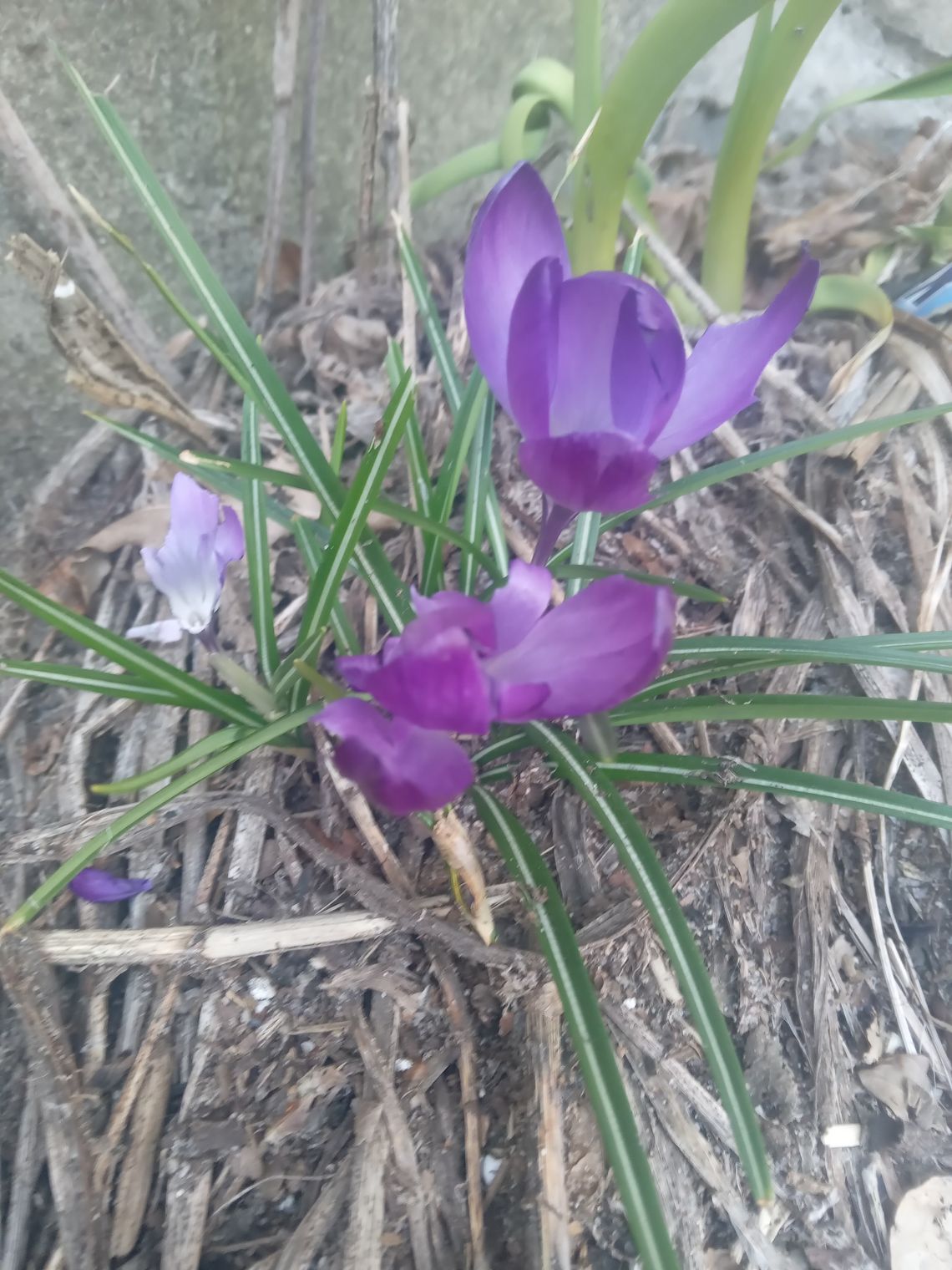 Pogoda na poniedziałek. Sprawdź, jaki będzie początek tygodnia Pogoda na poniedziałek. Sprawdź, jaki będzie początek tygodnia