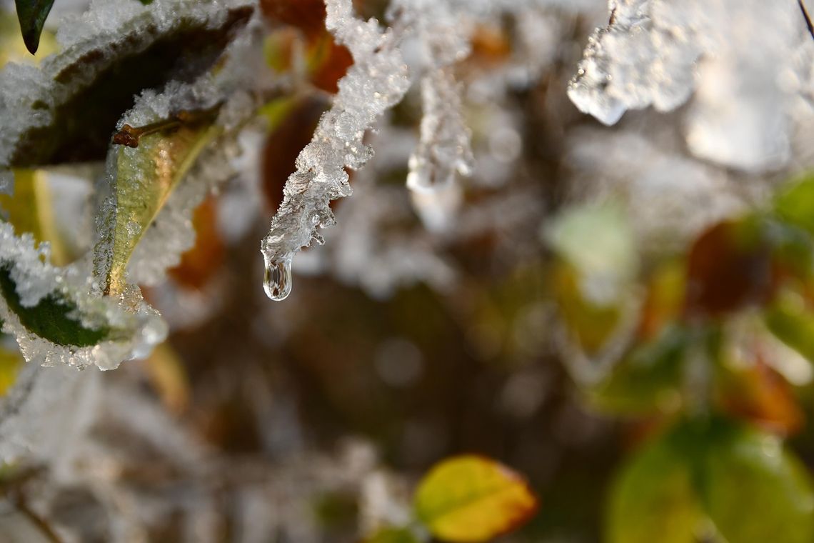 poglądowe/pixabay.com