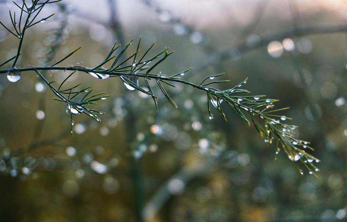 Pogoda na środę 15 marca. Wraca znaczne ochłodzenie Pogoda na środę 15 marca. Wraca znaczne ochłodzenie