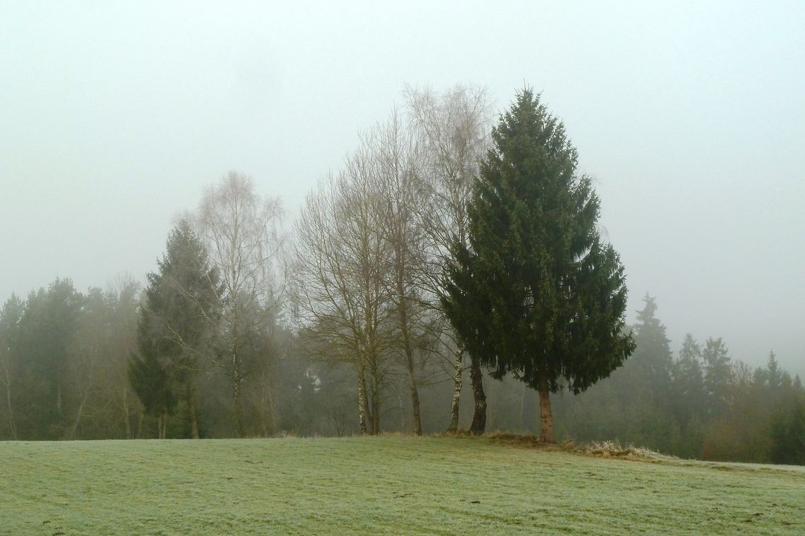 Pogoda na środę. Niebo zachmurzone, temperatura ok. 0 °C