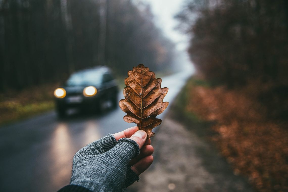 Pogoda na środę. Sprawdź, jaka aura nas czeka