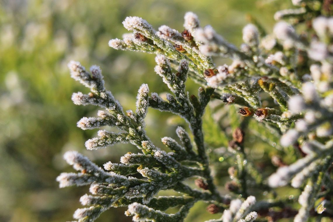 Pogoda na środę Sprawdź, jaka będzie aura