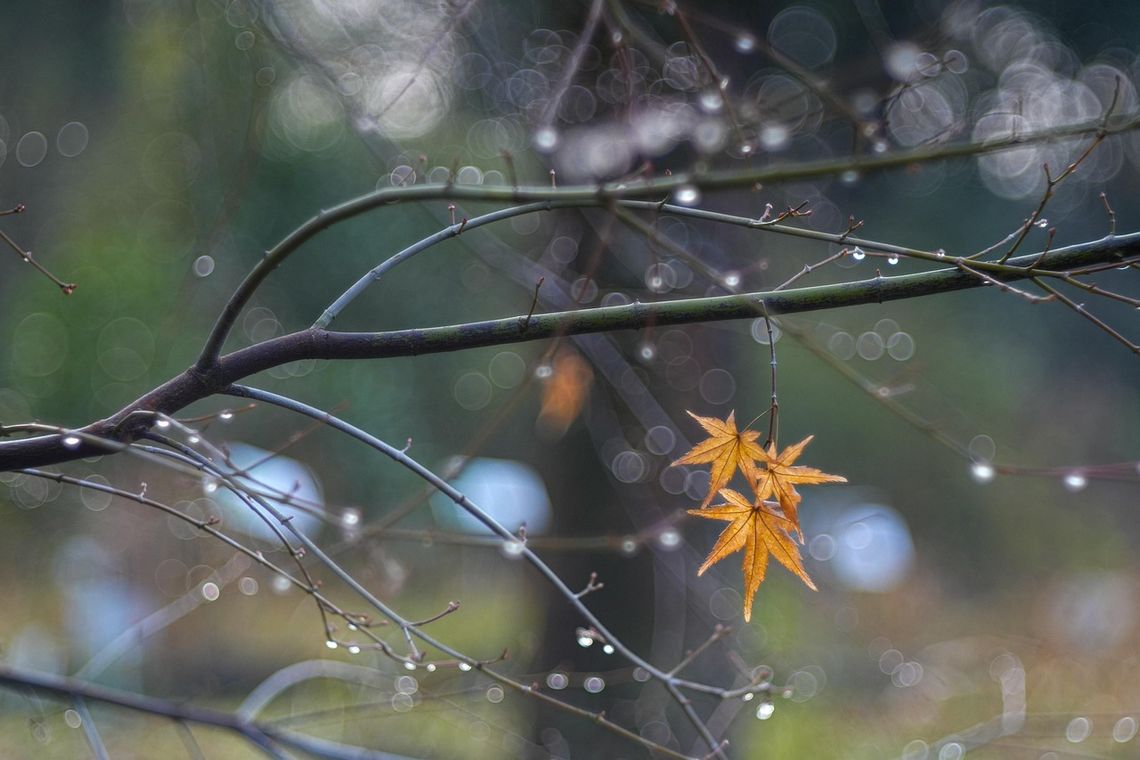 Pogoda na środę. Sprawdź, jaka będzie aura