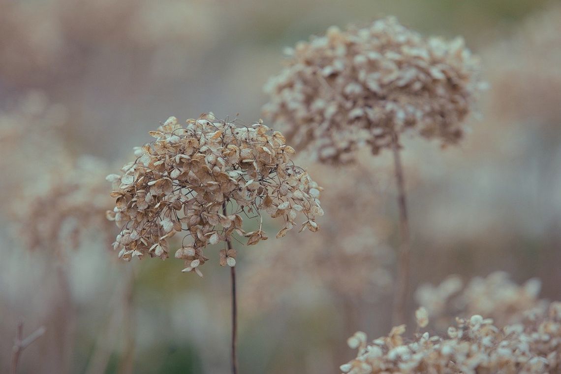 Pogoda na środę. Sprawdź, jaka będzie aura Pogoda na środę. Sprawdź, jaka będzie aura