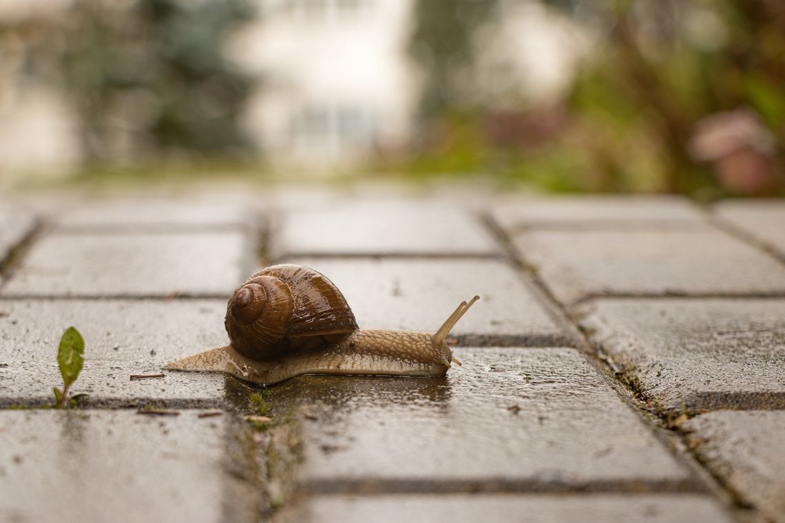 Pogoda na środę. Sprawdź, jaka będzie aura