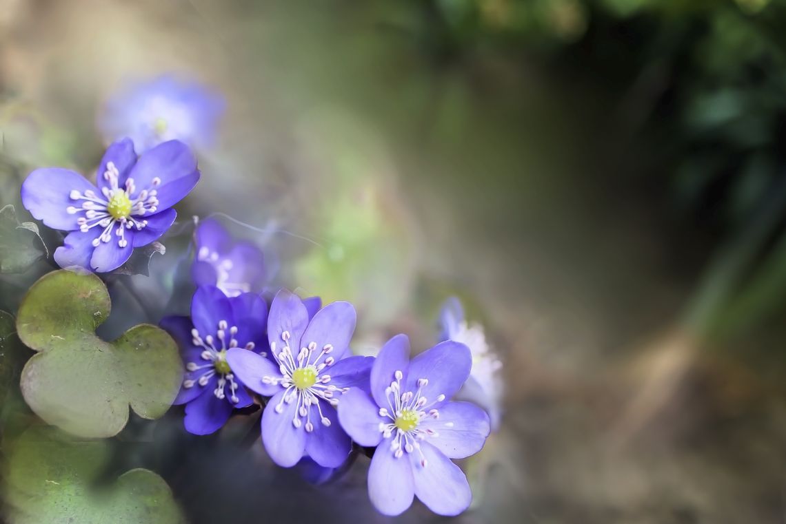 Pogoda na środę. Sprawdź, jaka będzie aura