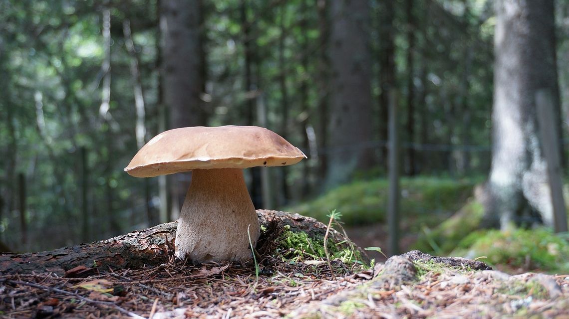 Prognoza pogody na środę. Sprawdź, jaka aura nas czeka