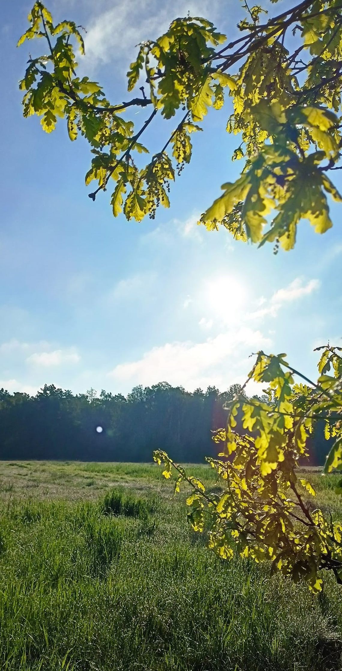 Pogoda na środę. Sprawdź, jaka będzie jutro aura