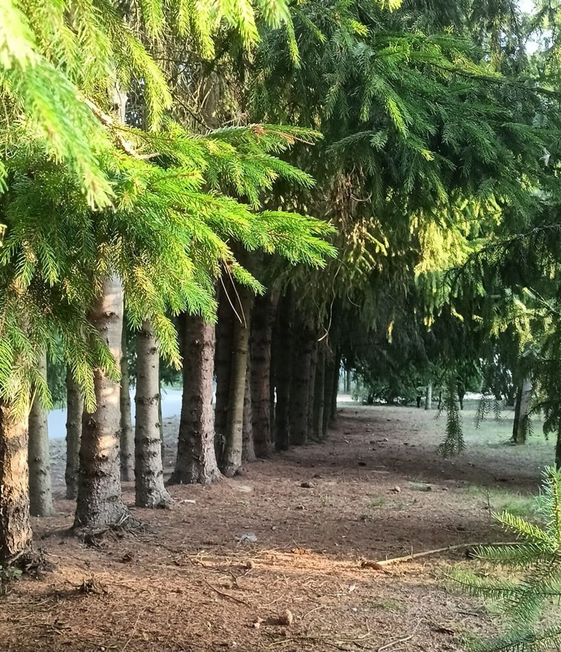 Pogoda na środę. Sprawdź, jaka będzie jutro aura