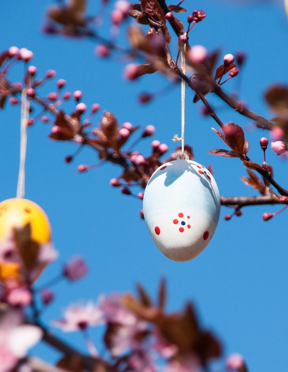 Pogoda na święta. Sprawdź, jaka będzie Wielkanoc