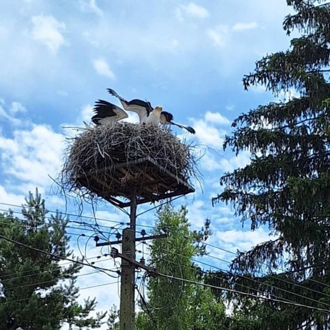 Pogoda na wtorek. Sprawdź, jaka aura nas czeka