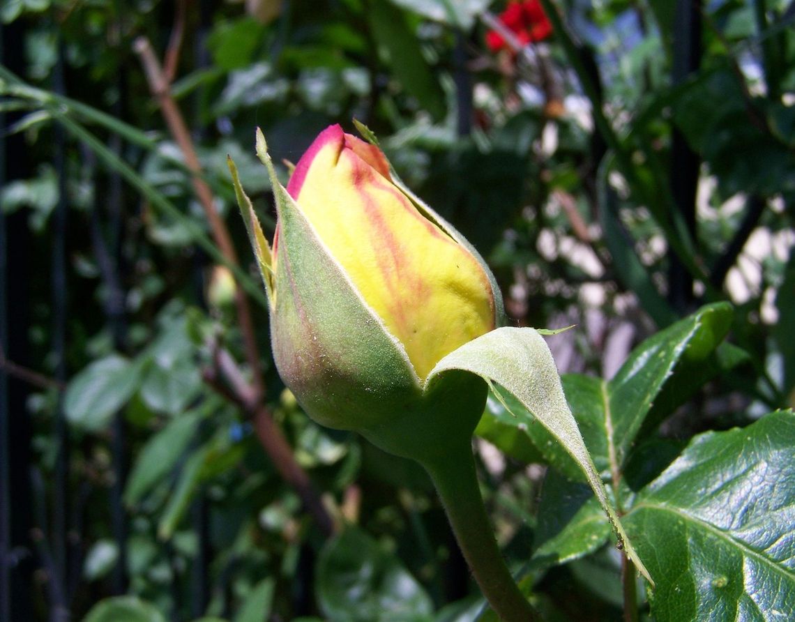 Pogoda na weekend. Sprawdź, jaka będzie aura