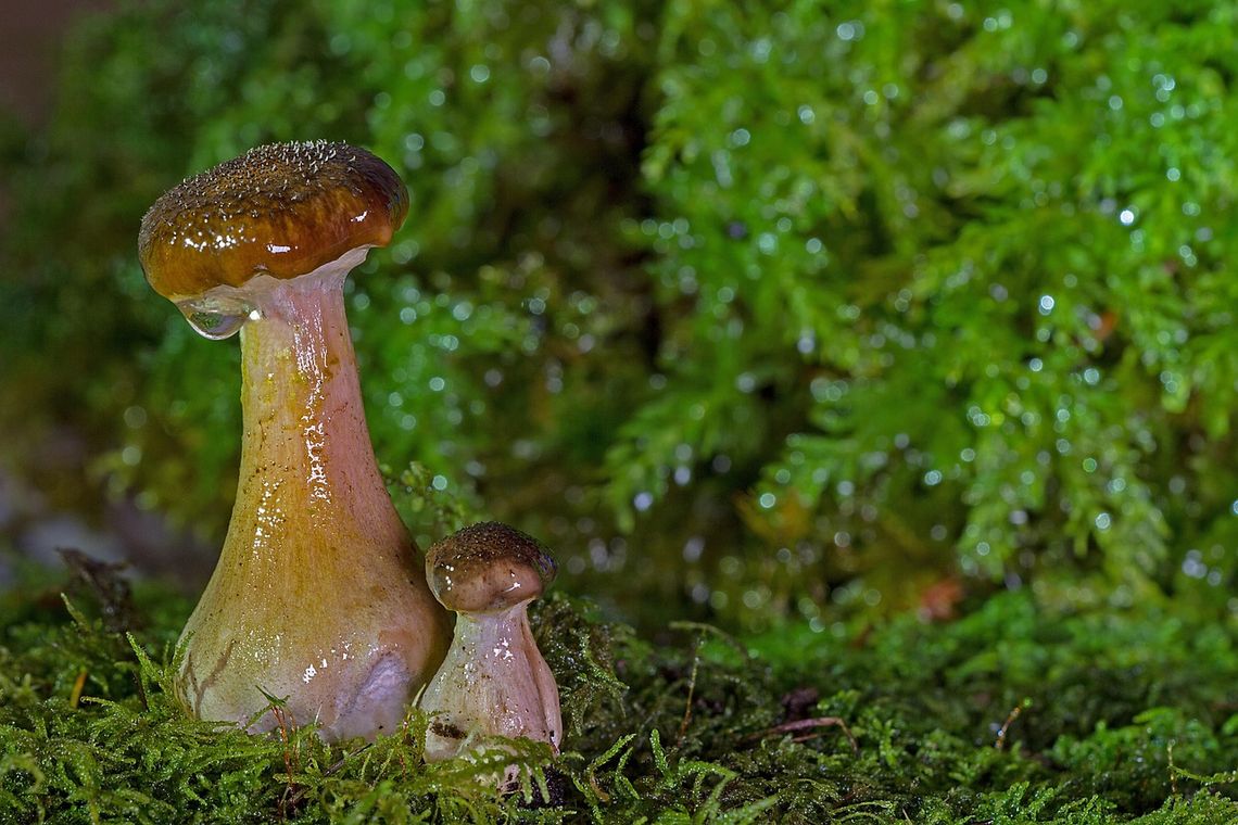 Pogoda na weekend. Sprawdź, jaka będzie aura