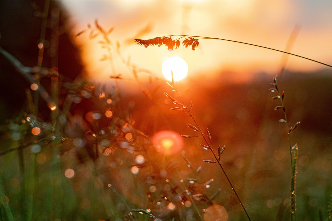 Pogoda na weekend. Sprawdź, jaka będzie aura Pogoda na weekend. Sprawdź, jaka będzie aura