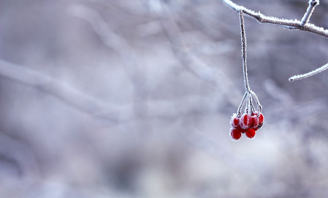 Pogoda na weekend. Temperatura ok. 0 °C. W sobotę słabe opady śniegu