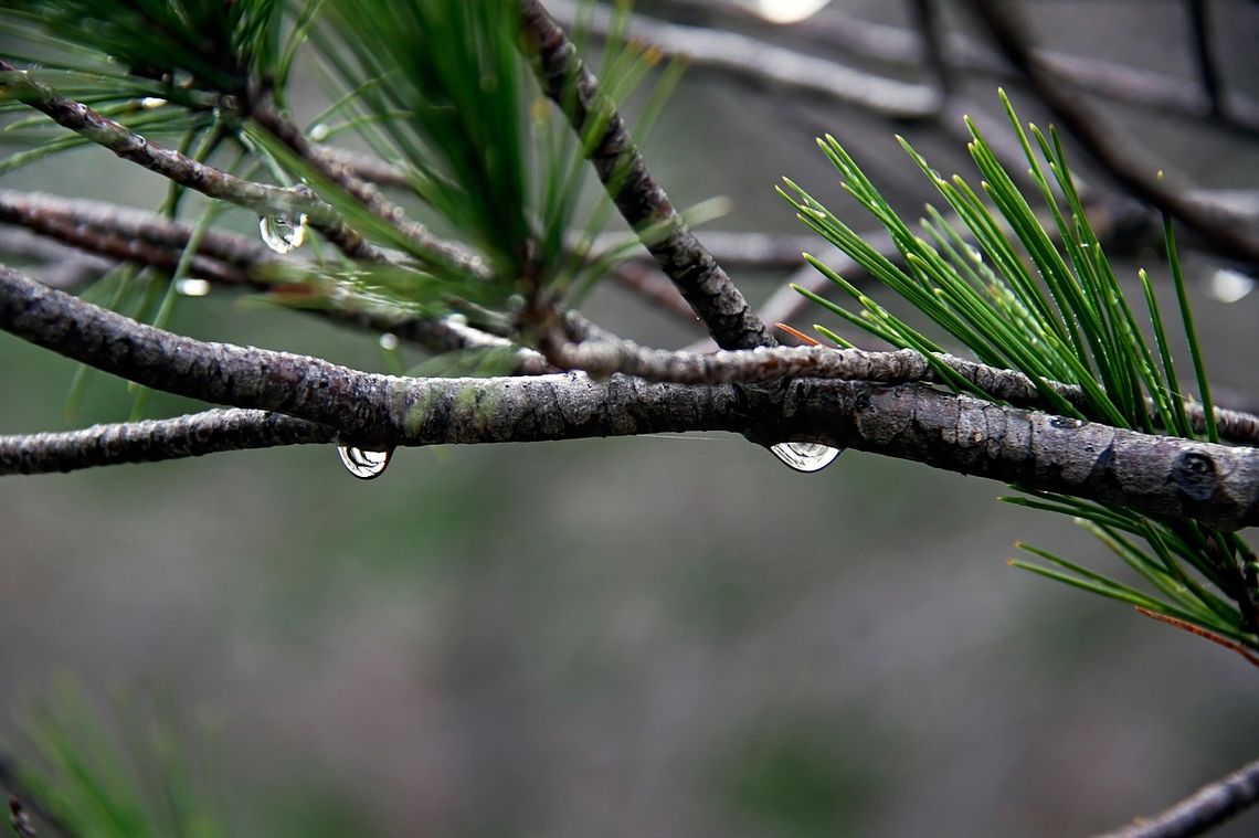 Pogoda na weekend. Trochę deszczu, trochę słońca