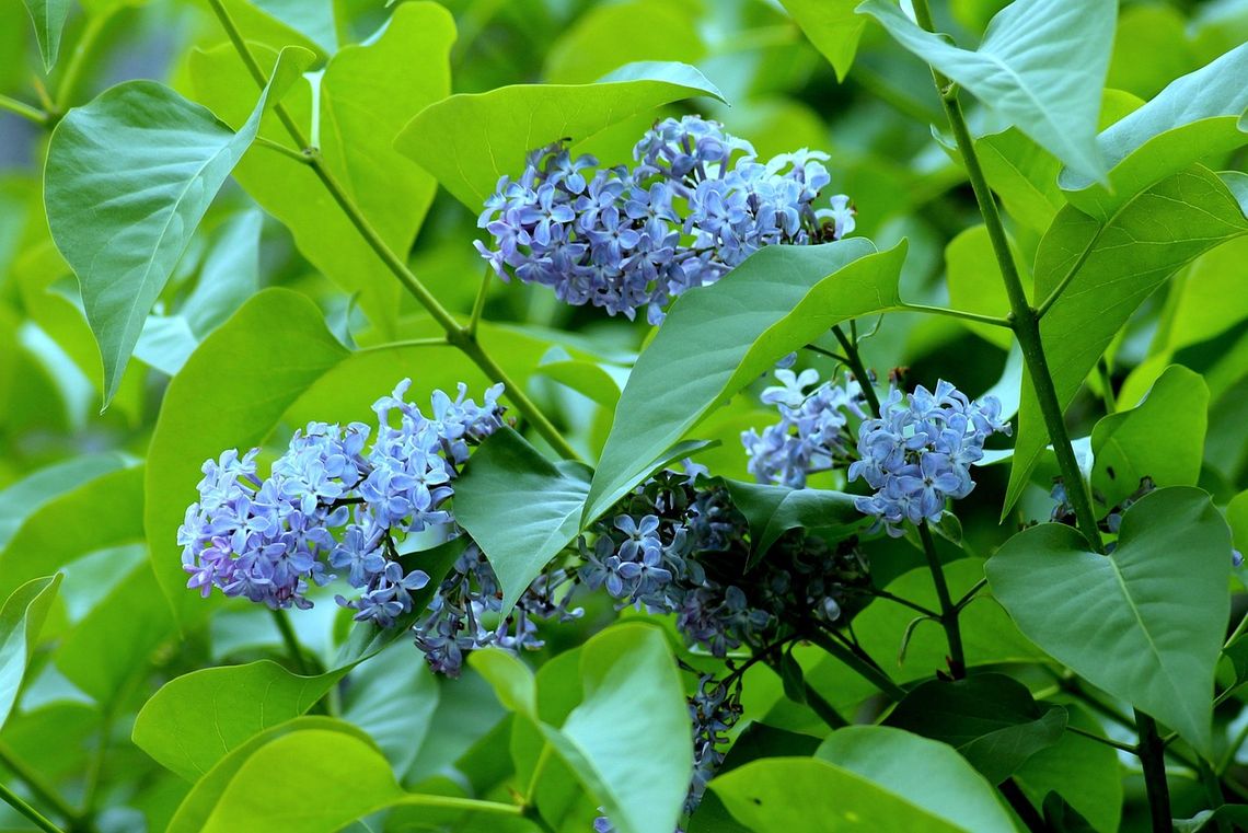 Pogoda na weekend. Sprawdź, jaka będzie aura