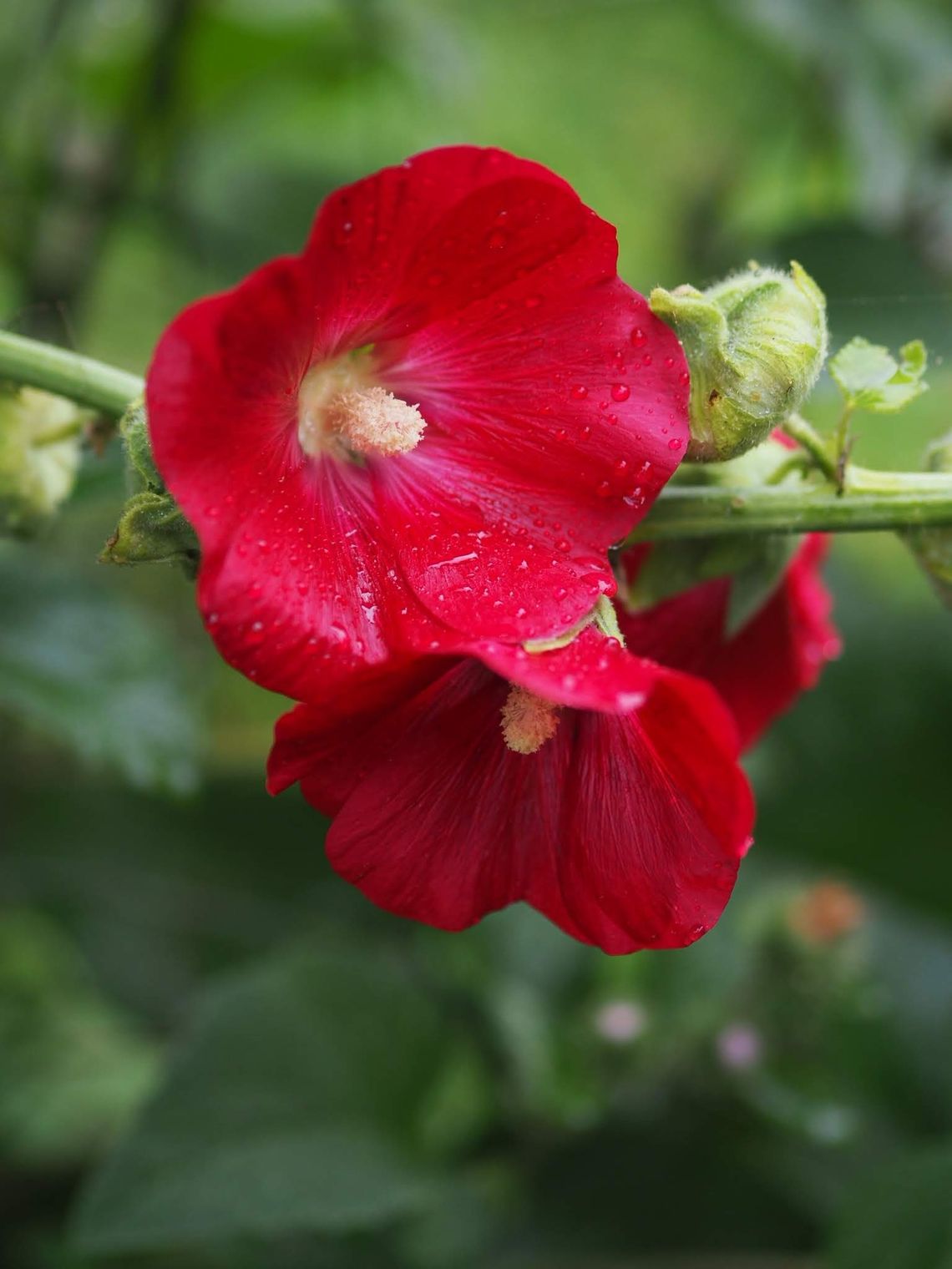 Pogoda na wtorek. Sprawdź, jaka aura nas czeka
