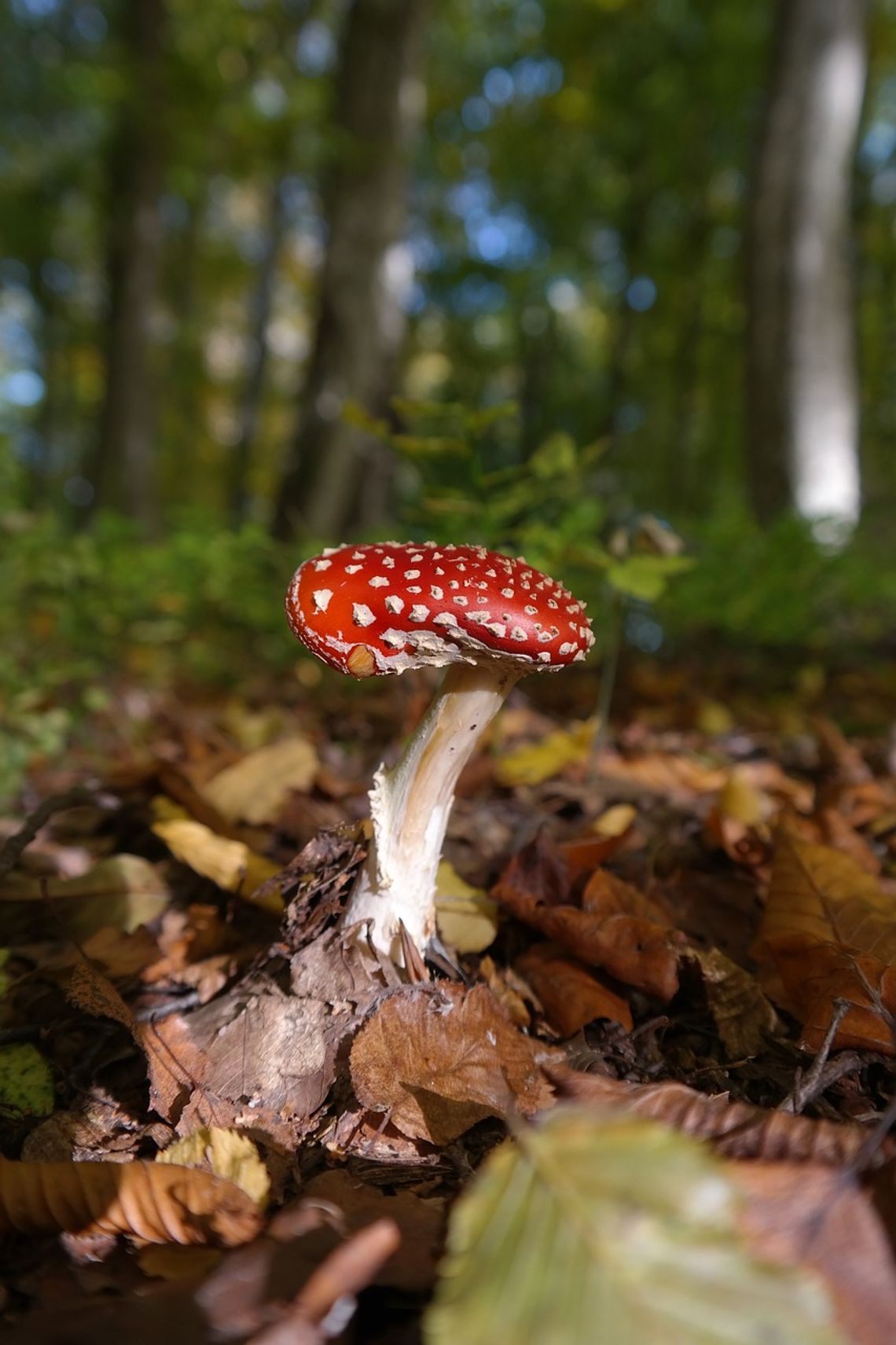 Pogoda na wtorek. Sprawdź, jaka aura nas czeka