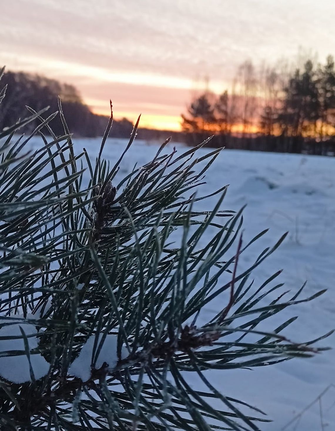 Pogoda na wtorek. Sprawdź, jaka aura nas czeka