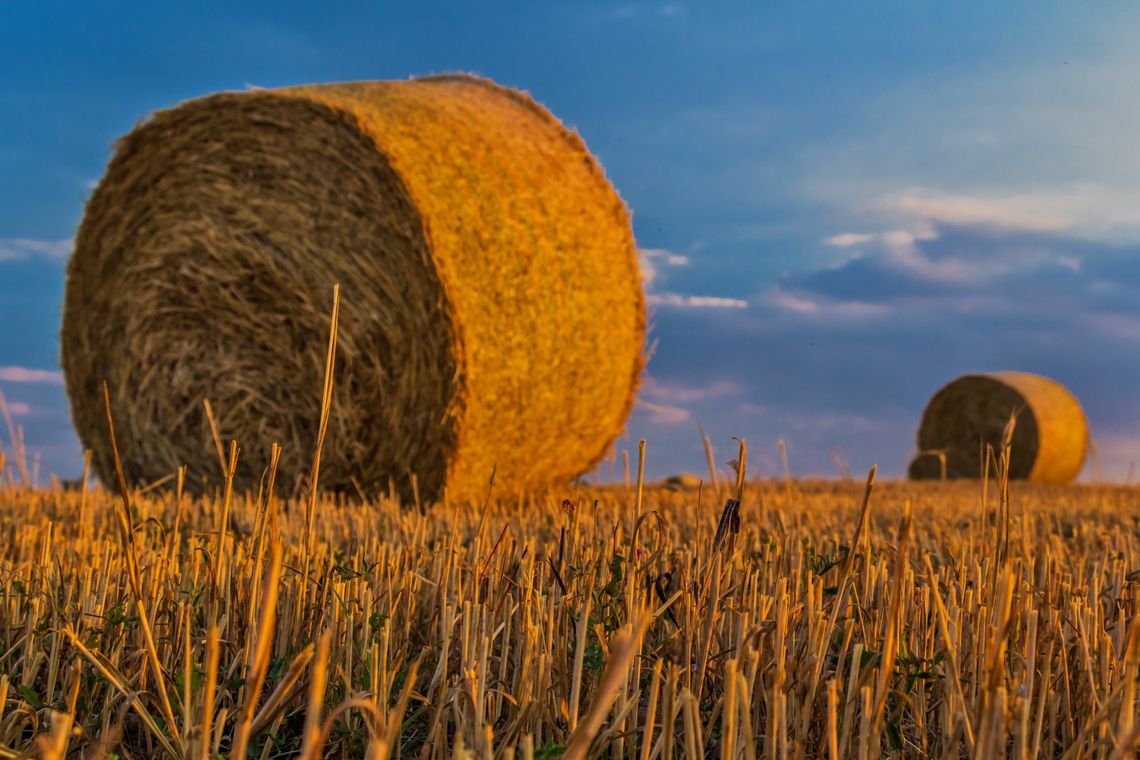 Pogoda na wtorek. Sprawdź, jaka aura nas czeka Pogoda na wtorek. Sprawdź, jaka aura nas czeka
