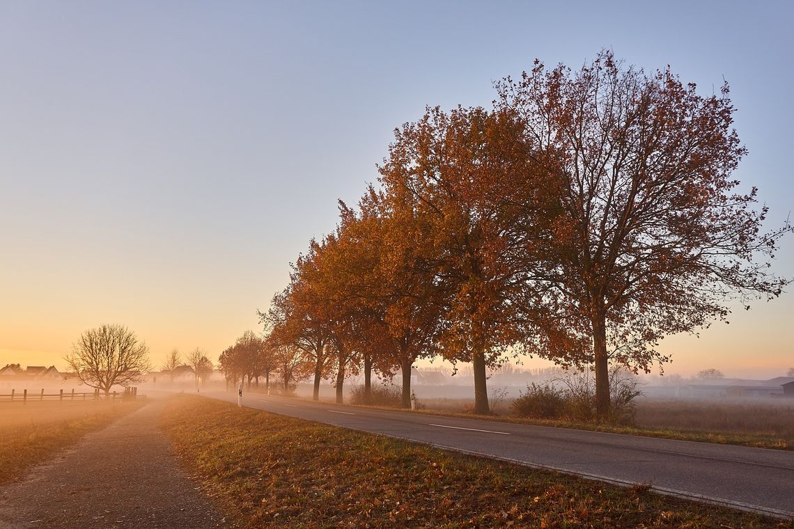 Pogoda na wtorek. Sprawdź, jaka będzie aura