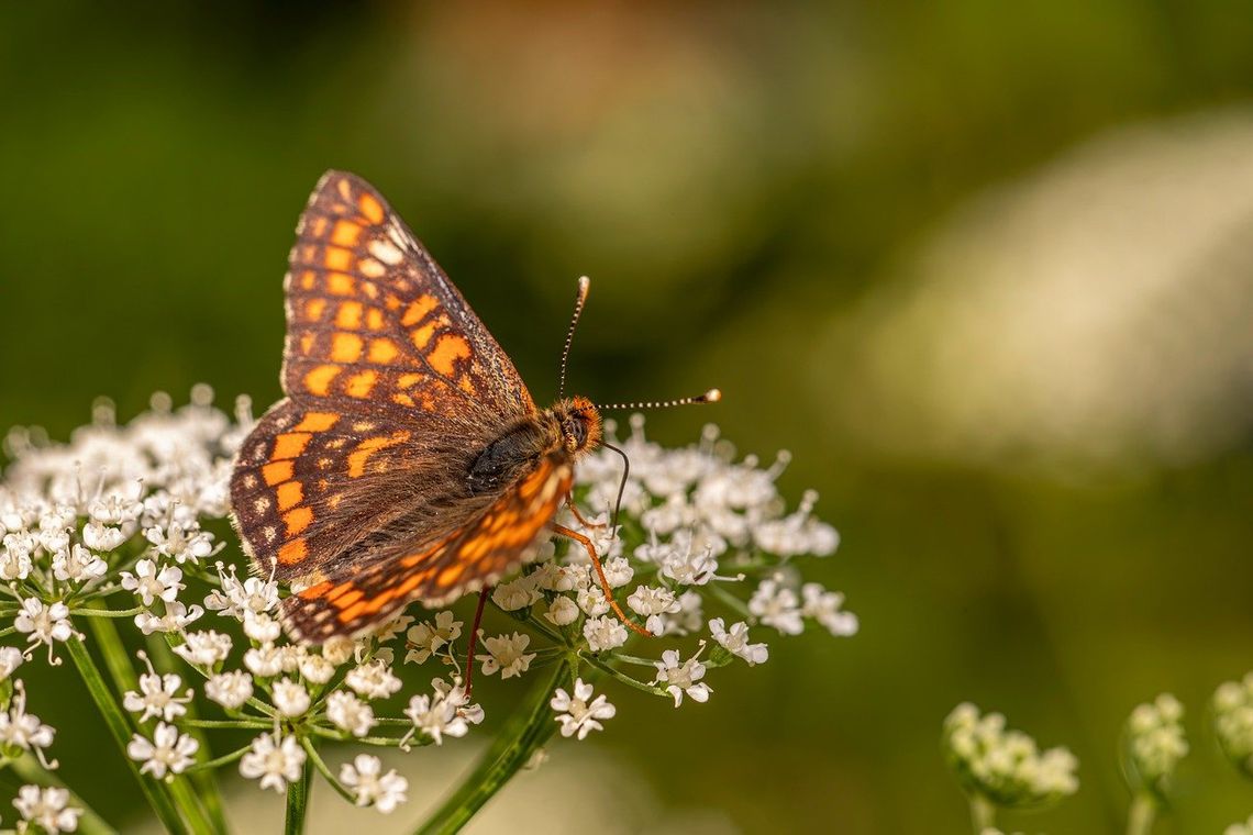 Pogoda na wtorek. Sprawdź, jaka będzie aura