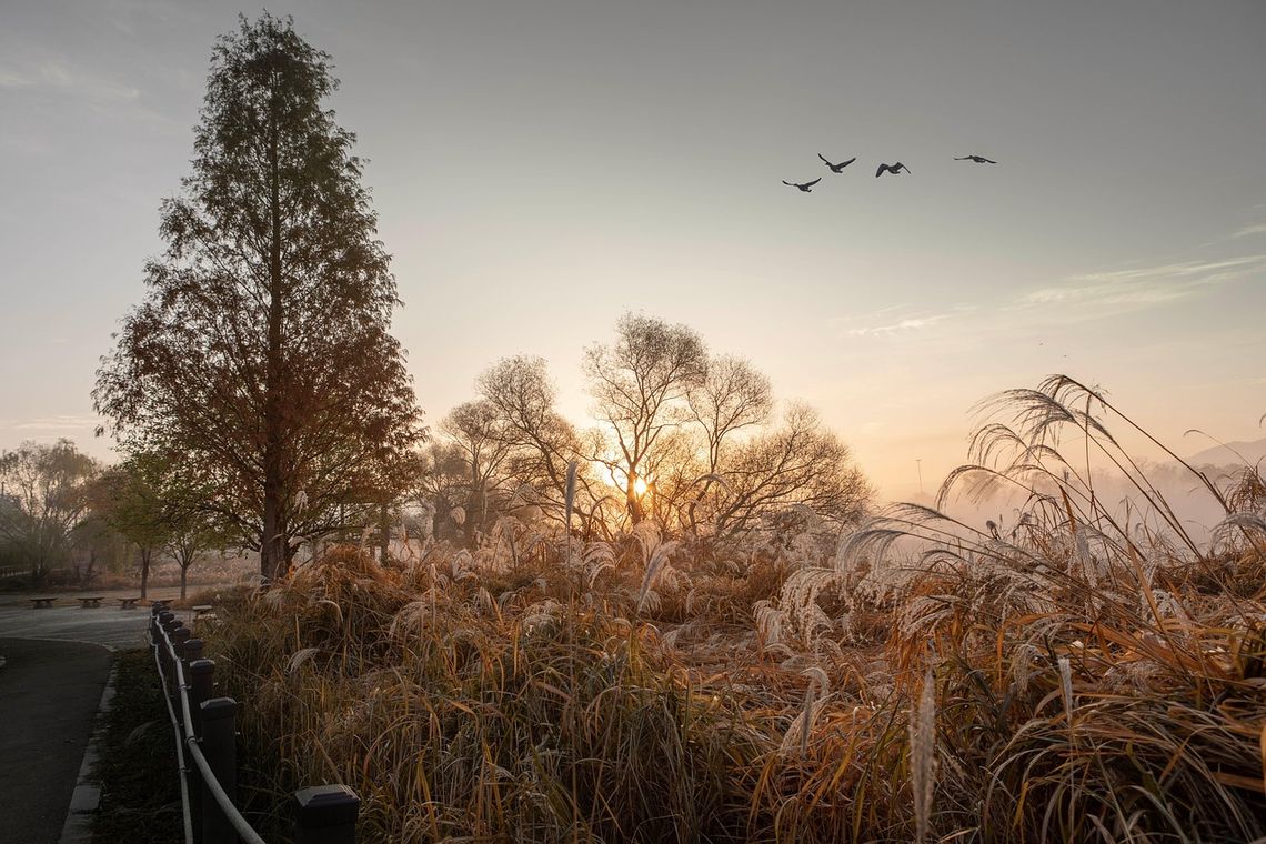 Pogoda na wtorek. Sprawdź, jaka będzie aura