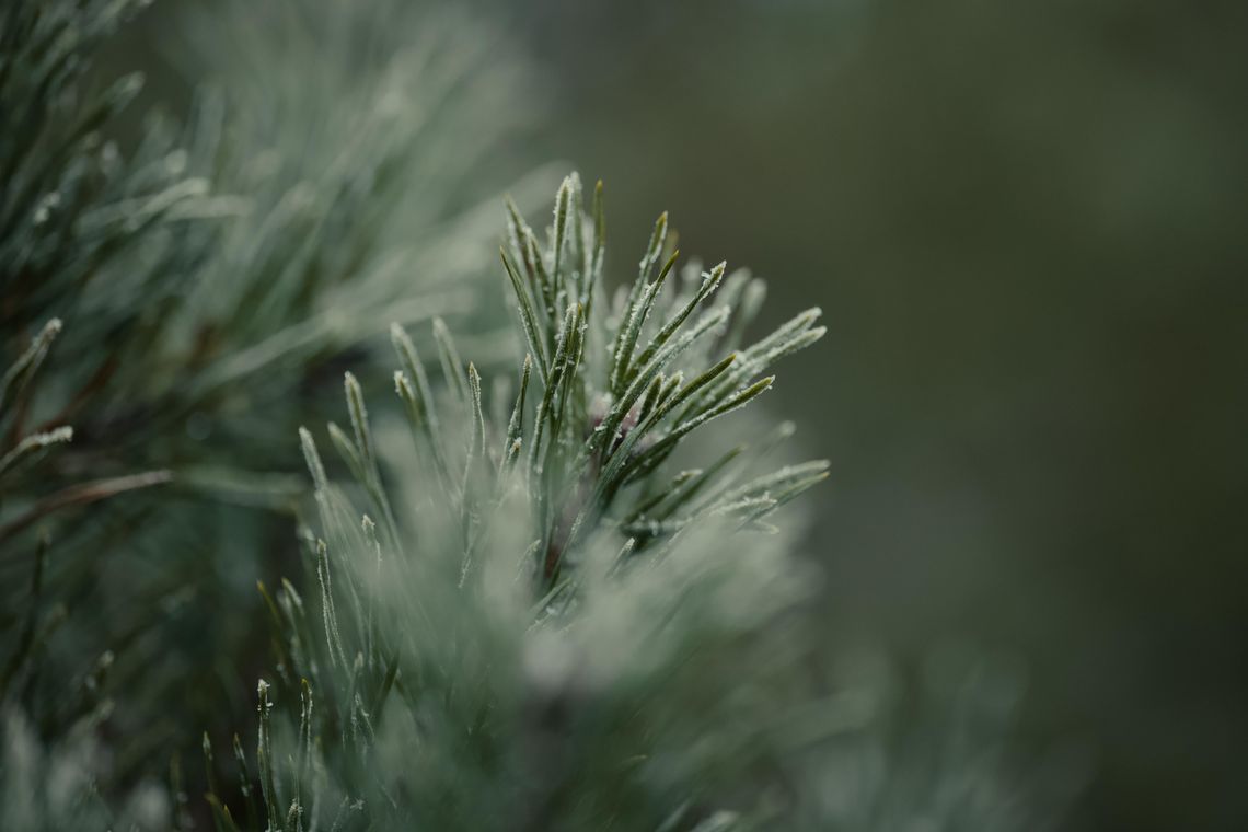 Pogoda na wtorek. Sprawdź, jaka będzie aura Pogoda na wtorek. Sprawdź, jaka będzie aura