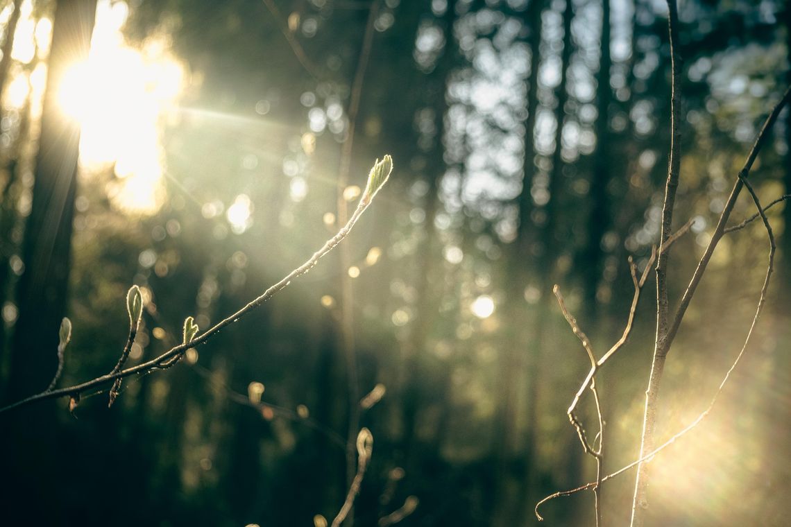 Pogoda na wtorek. Sprawdź, jaka będzie aura