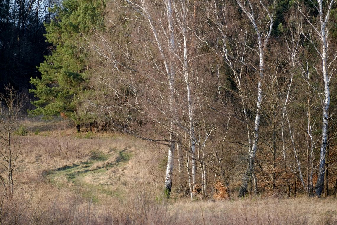 Pogoda na wtorek. Sprawdź, jaka będzie aura