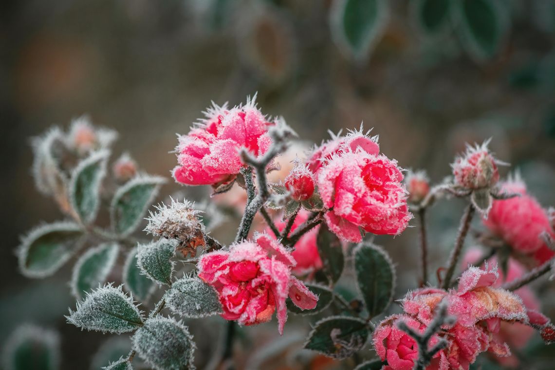 Pogoda na wtorek. Sprawdź, jaka będzie aura