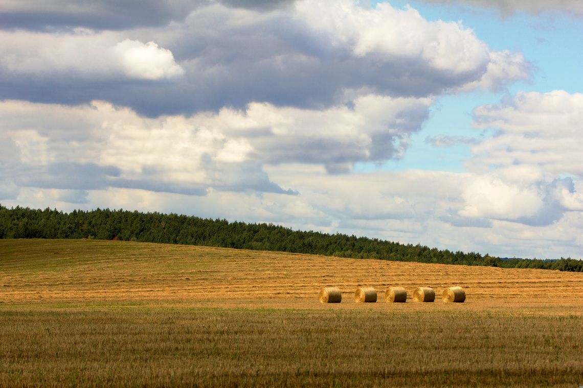 Pogoda na wtorek. Sprawdź, jaka będzie aura Pogoda na wtorek. Sprawdź, jaka będzie aura