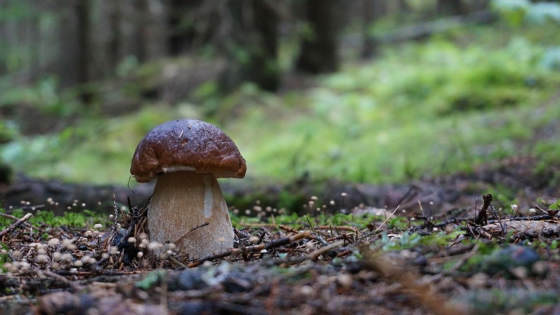 Pogoda na wtorek. Sprawdź, jaka będzie aura