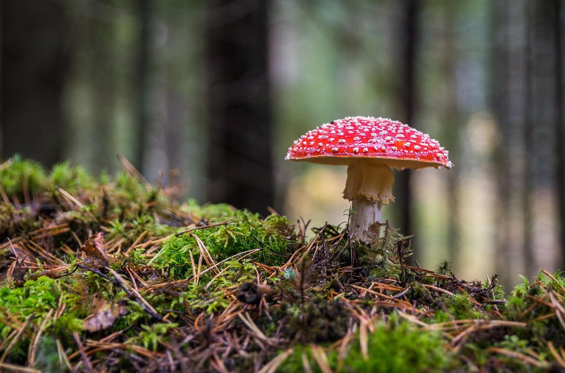 Pogoda na wtorek. Sprawdź, jaka będzie aura Pogoda na wtorek. Sprawdź, jaka będzie aura