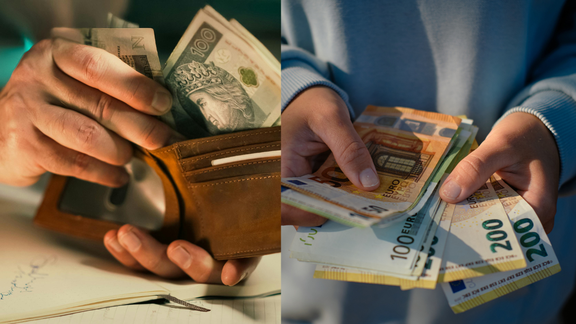 Polacy nie chcą euro